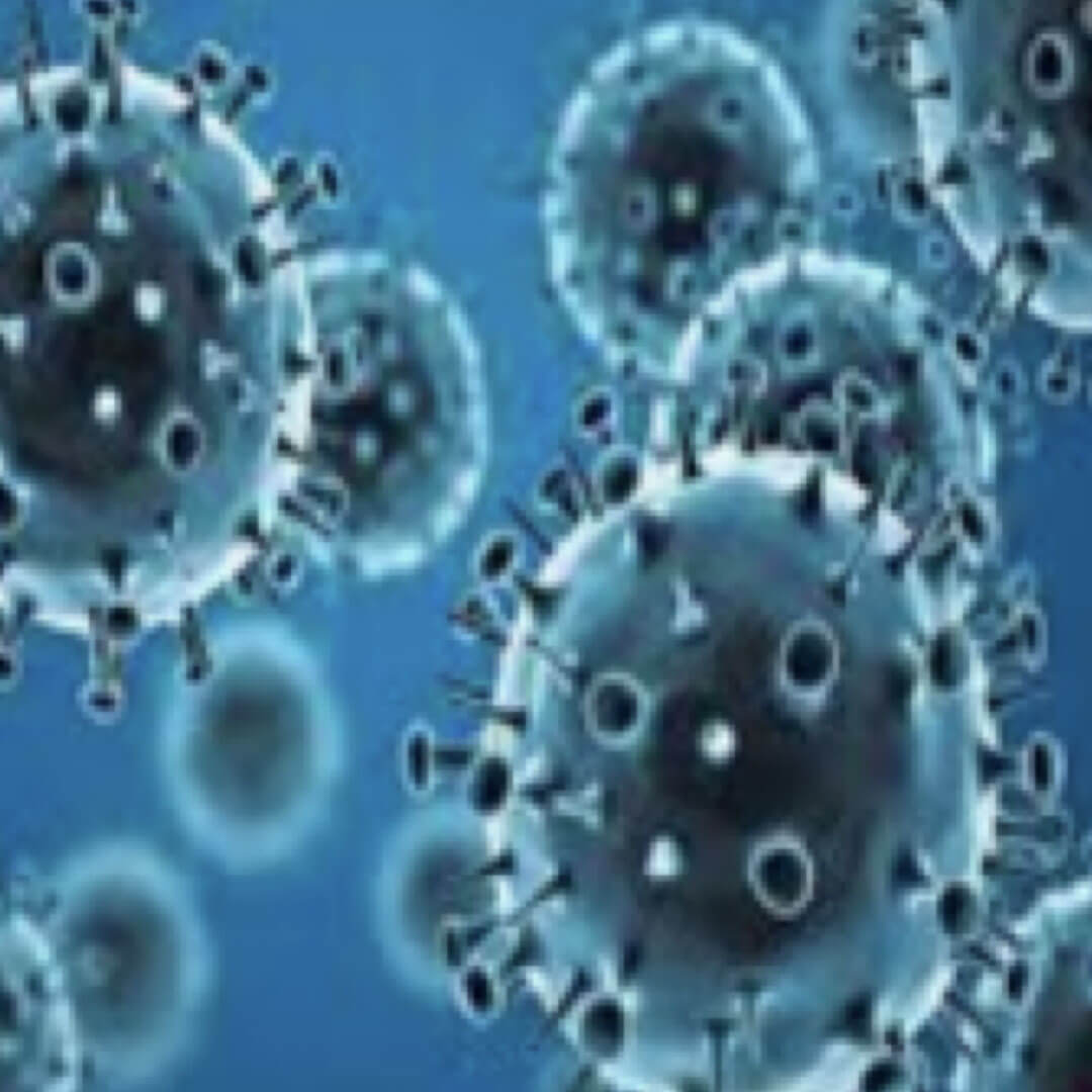 Influenza Virus