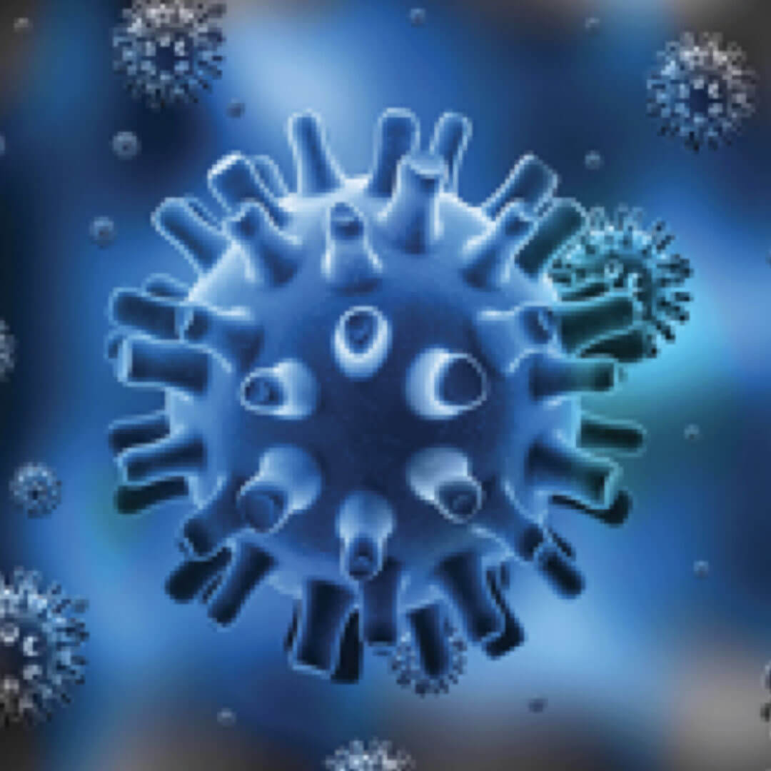 Herpes Simplex Virus (HSV)