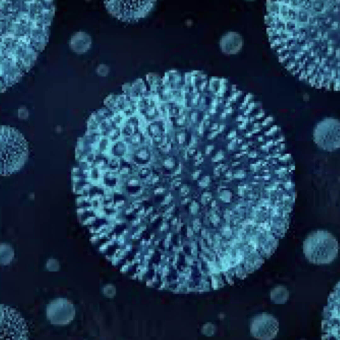 Enveloped Viruses